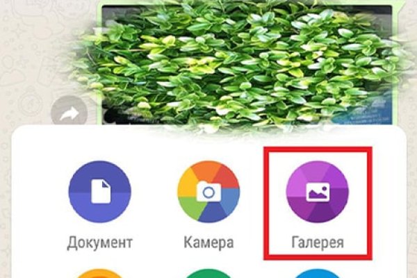 Кракен купить гашиш