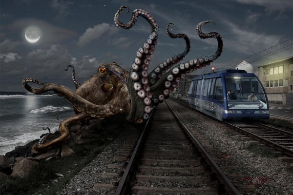 Зеркало тор браузера