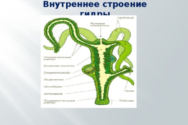 Kra39cc